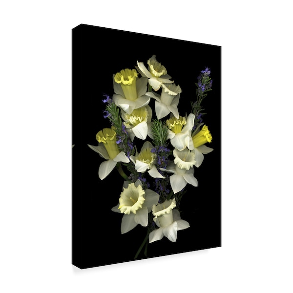 Susan S. Barmon 'Daffodils And Rosemary' Canvas Art,35x47